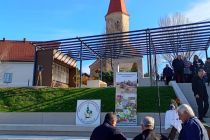 Martinovanje pri Mali Nedelji