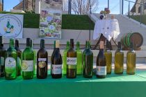 Martinovanje pri Mali Nedelji