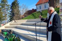 Martinovanje pri Mali Nedelji