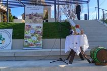 Martinovanje pri Mali Nedelji