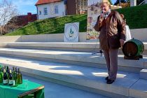 Martinovanje pri Mali Nedelji