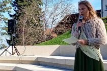 Martinovanje pri Mali Nedelji