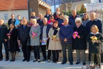 Martinovanje pri Mali Nedelji