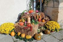 Martinovanje pri Mali Nedelji