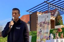 Martinovanje pri Mali Nedelji