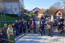 Martinovanje pri Mali Nedelji