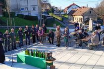 Martinovanje pri Mali Nedelji