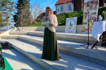 Martinovanje pri Mali Nedelji