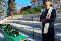 Martinovanje pri Mali Nedelji