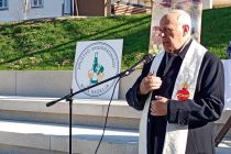 Martinovanje pri Mali Nedelji