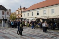 Martinovanje v Ljutomeru