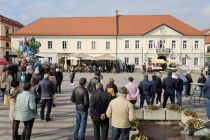 Martinovanje v Ljutomeru