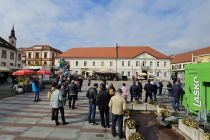 Martinovanje v Ljutomeru