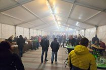 Martinovanje v Ljutomeru