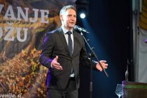 Martinovanje v Ormožu