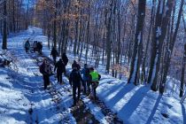 Po Martinov pohod TD Pütar Stročja vas