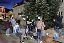 Okrasitev prazničnega drevesa