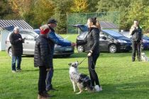 Športno kinološko društvo Ljutomer-Križevci