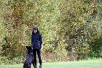 Športno kinološko društvo Ljutomer-Križevci