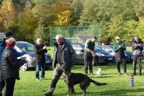 Športno kinološko društvo Ljutomer-Križevci