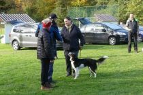 Športno kinološko društvo Ljutomer-Križevci