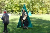 Športno kinološko društvo Ljutomer-Križevci