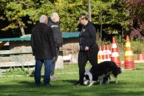 Športno kinološko društvo Ljutomer-Križevci