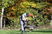 Športno kinološko društvo Ljutomer-Križevci