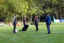 Športno kinološko društvo Ljutomer-Križevci