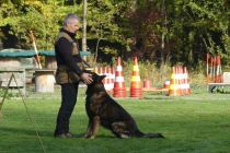 Športno kinološko društvo Ljutomer-Križevci