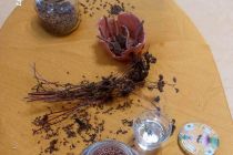 Teden slovenske hrane v vrtcu Mala Nedelja