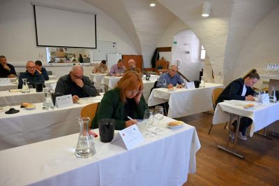 Ocenjevanje za »Naj špricar« in »Naj mlado vino 2025«