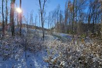 Zimska idila v Prlekiji