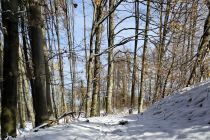 Zimska idila v Prlekiji