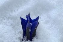 Zimska idila v Prlekiji