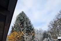 Zimska idila v Prlekiji