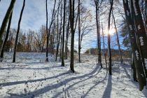 Zimska idila v Prlekiji