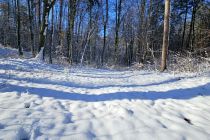 Zimska idila v Prlekiji