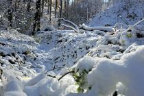 Zimska idila v Prlekiji