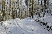 Zimska idila v Prlekiji