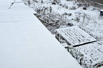 Zimska idila v Prlekiji