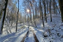 Zimska idila v Prlekiji