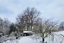 Zimska idila v Prlekiji