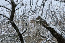 Zimska idila v Prlekiji