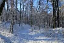 Zimska idila v Prlekiji