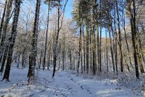 Zimska idila v Prlekiji