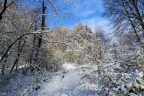 Zimska idila v Prlekiji