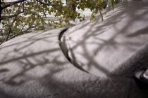 Zimska idila v Prlekiji