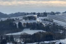 Zimska idila v Prlekiji