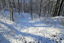 Zimska idila v Prlekiji